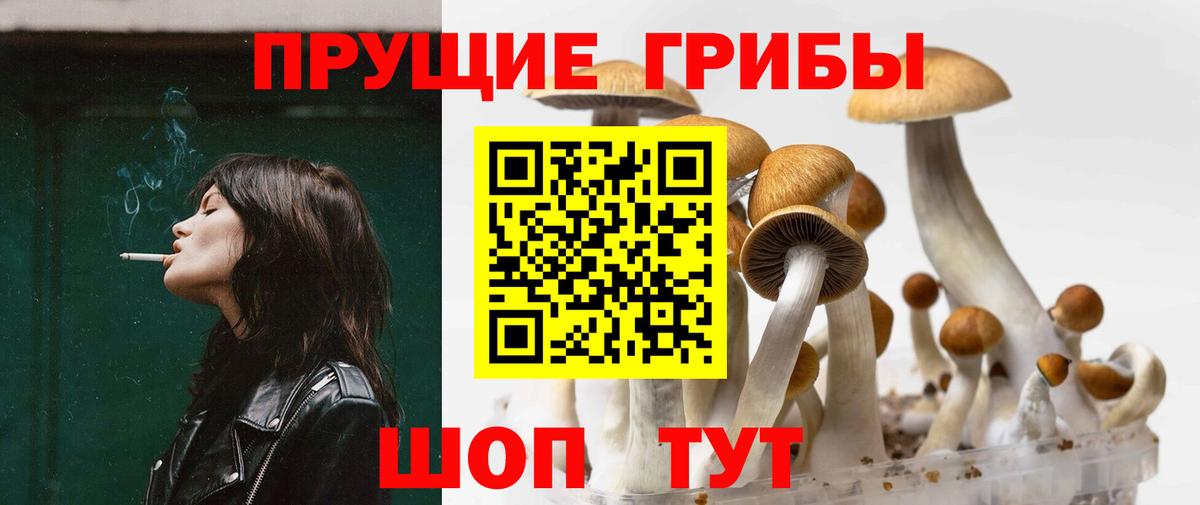 Галлюциногенные грибы MAGIC MUSHROOMS  наркота  Галлюциногенные грибы ЛСД  Морозовск  Вход с VPN 